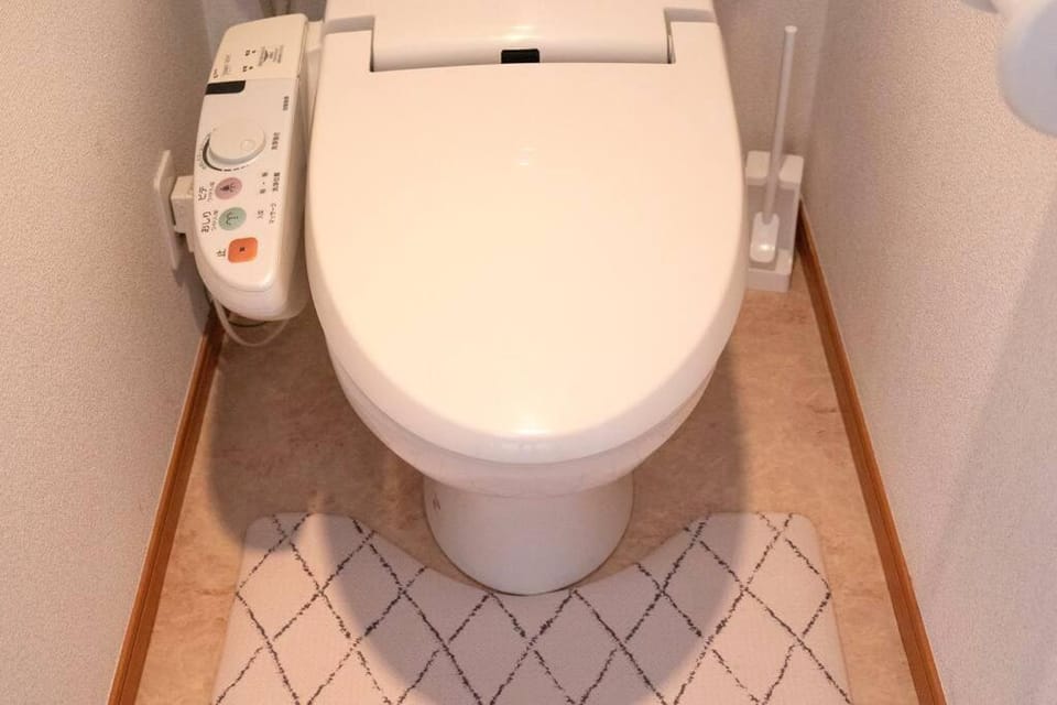 新宿一站5分钟-203-餐馆购物街-安静品质公寓-直达皇居秋叶原 Apartment in Japan