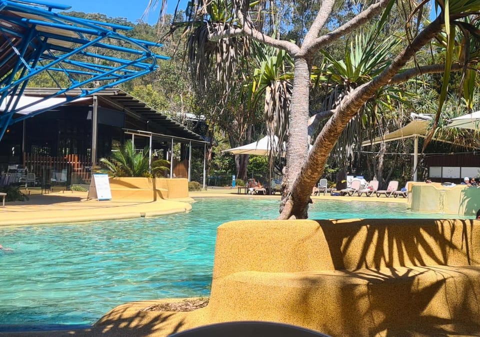 Day, Pool view, Swimming pool, sunbed