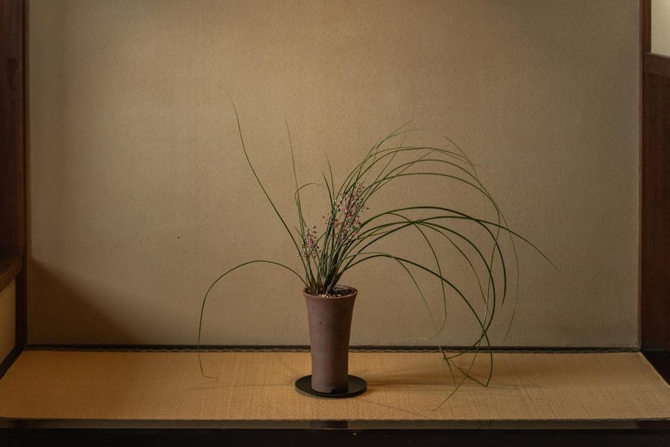篠山城下町ゲストハウス inosica Bed and Breakfast in Hyogo Prefecture