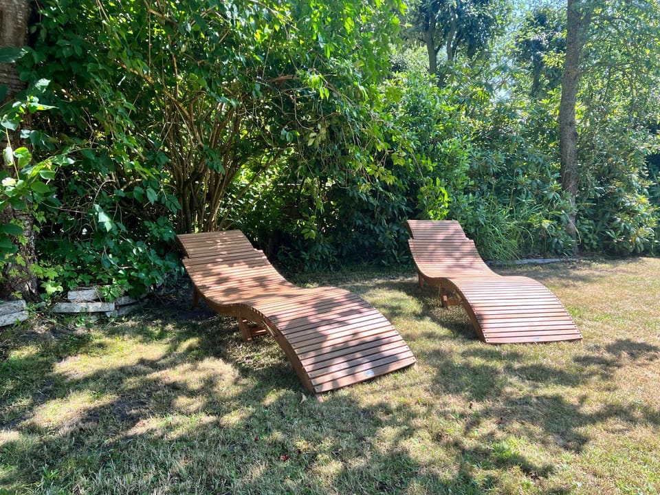 Garden, sunbed