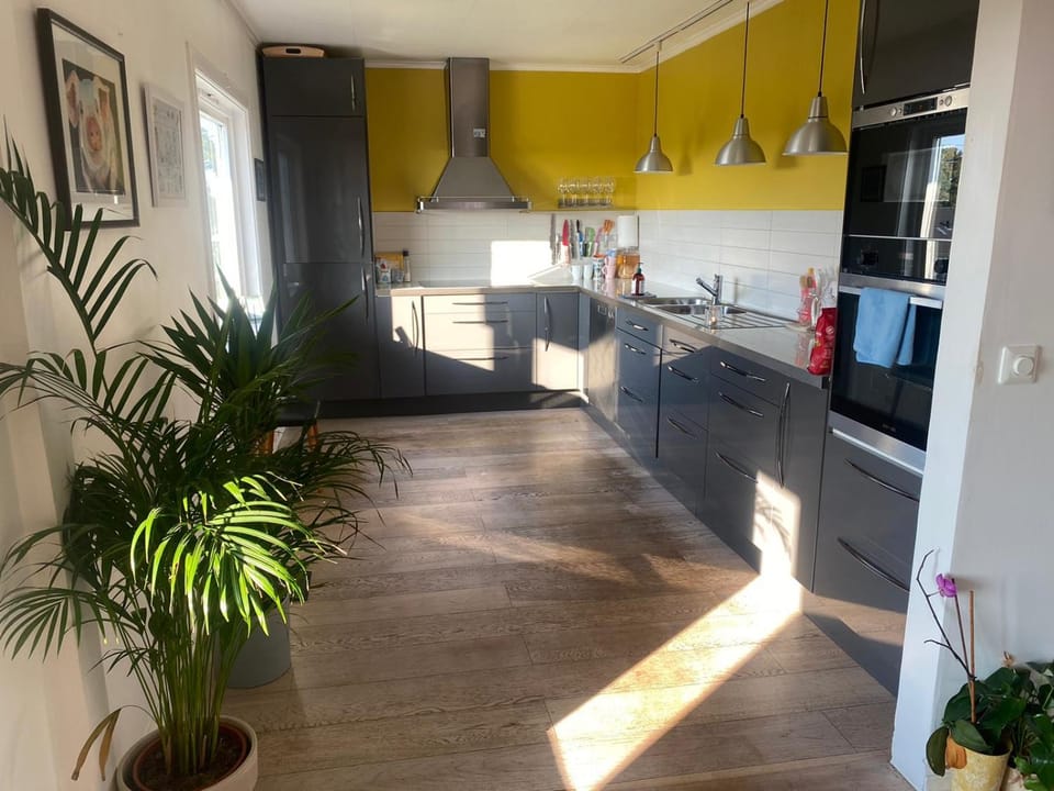 Kitchen or kitchenette, dishwasher, minibar, oven, stove