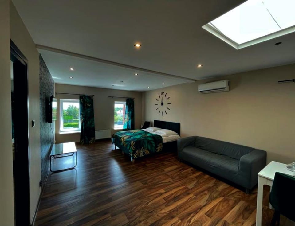 Bed, TV and multimedia, Living room, air conditioner