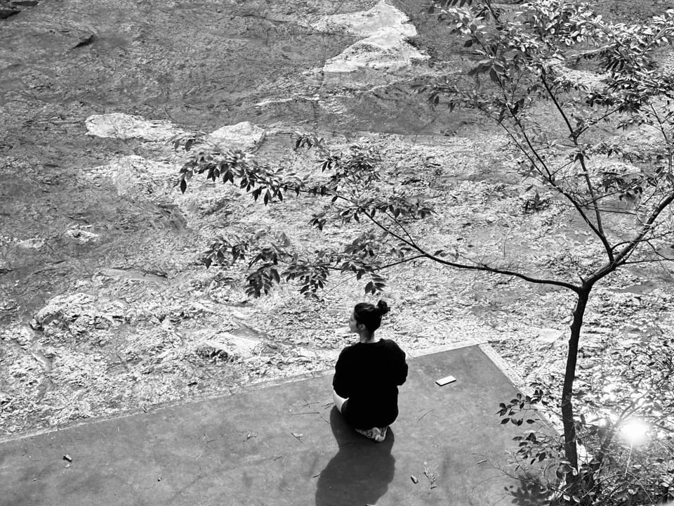 Day, Natural landscape, Guests