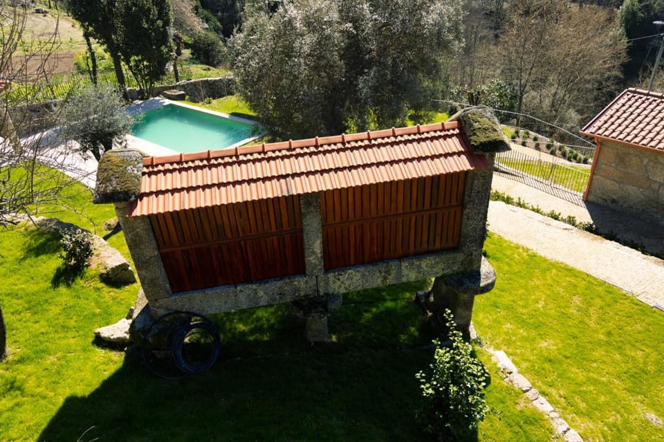 Garden, Pool view, Swimming pool