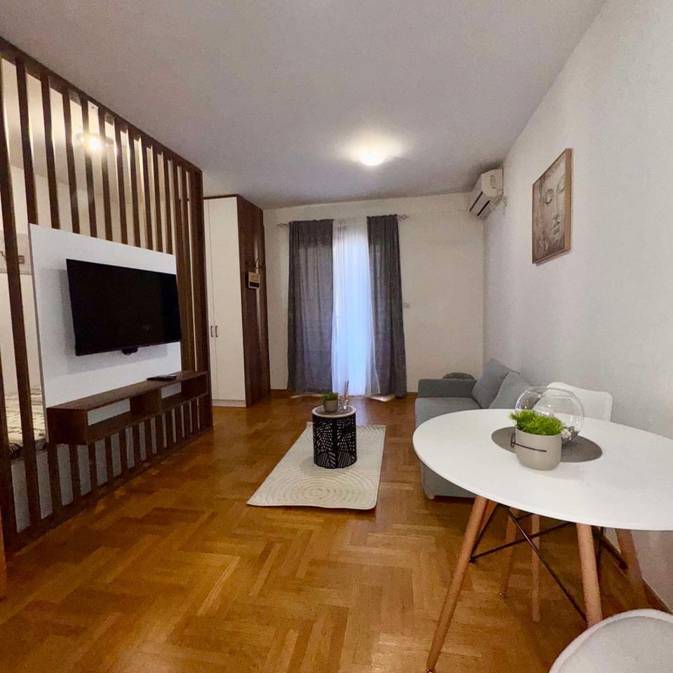 Apartment Milana Apartment in Podgorica