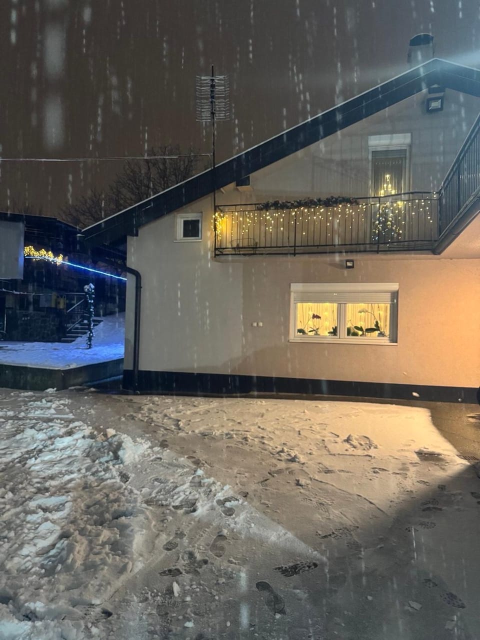 Violeta guest house Villa in Novi Sad