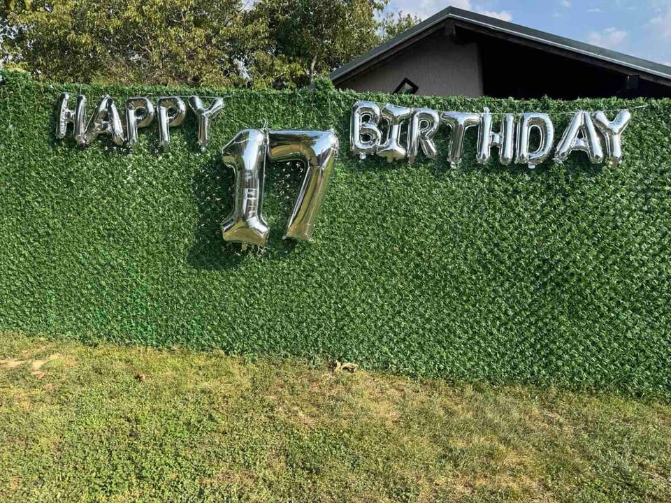 Violeta guest house Villa in Novi Sad