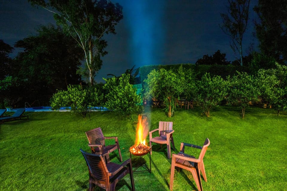 Night, Garden, Garden view