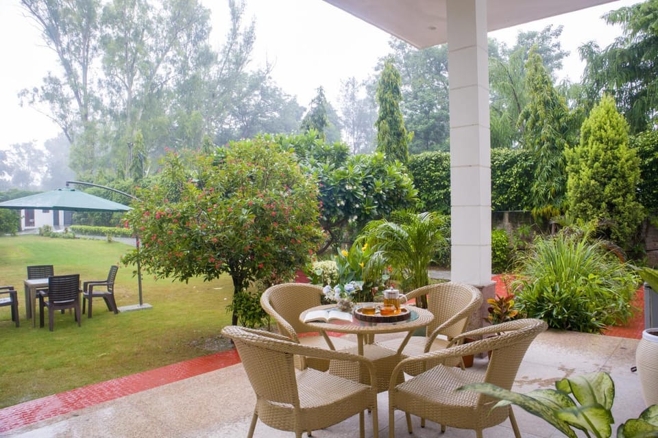 Patio, Spring, Day, Garden, Living room, Seating area, Dining area, Garden view