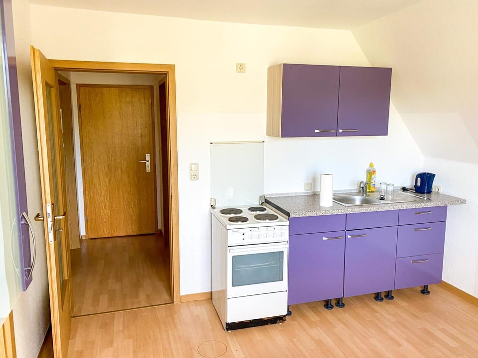 Kitchen or kitchenette, oven, pet friendly, stove
