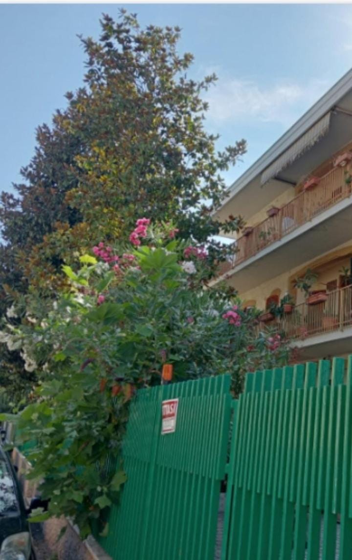 La casa di Lilia Apartment in Francavilla al Mare