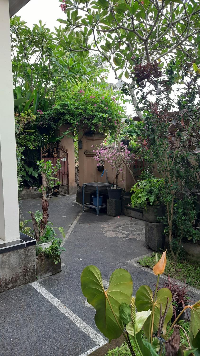 Inner courtyard view