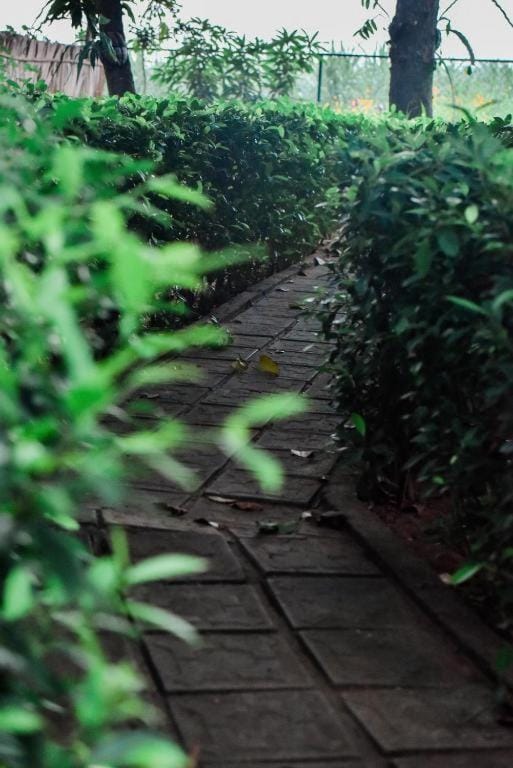 Jungle Edge Cottage Bed and Breakfast in Uva Province, Sri Lanka