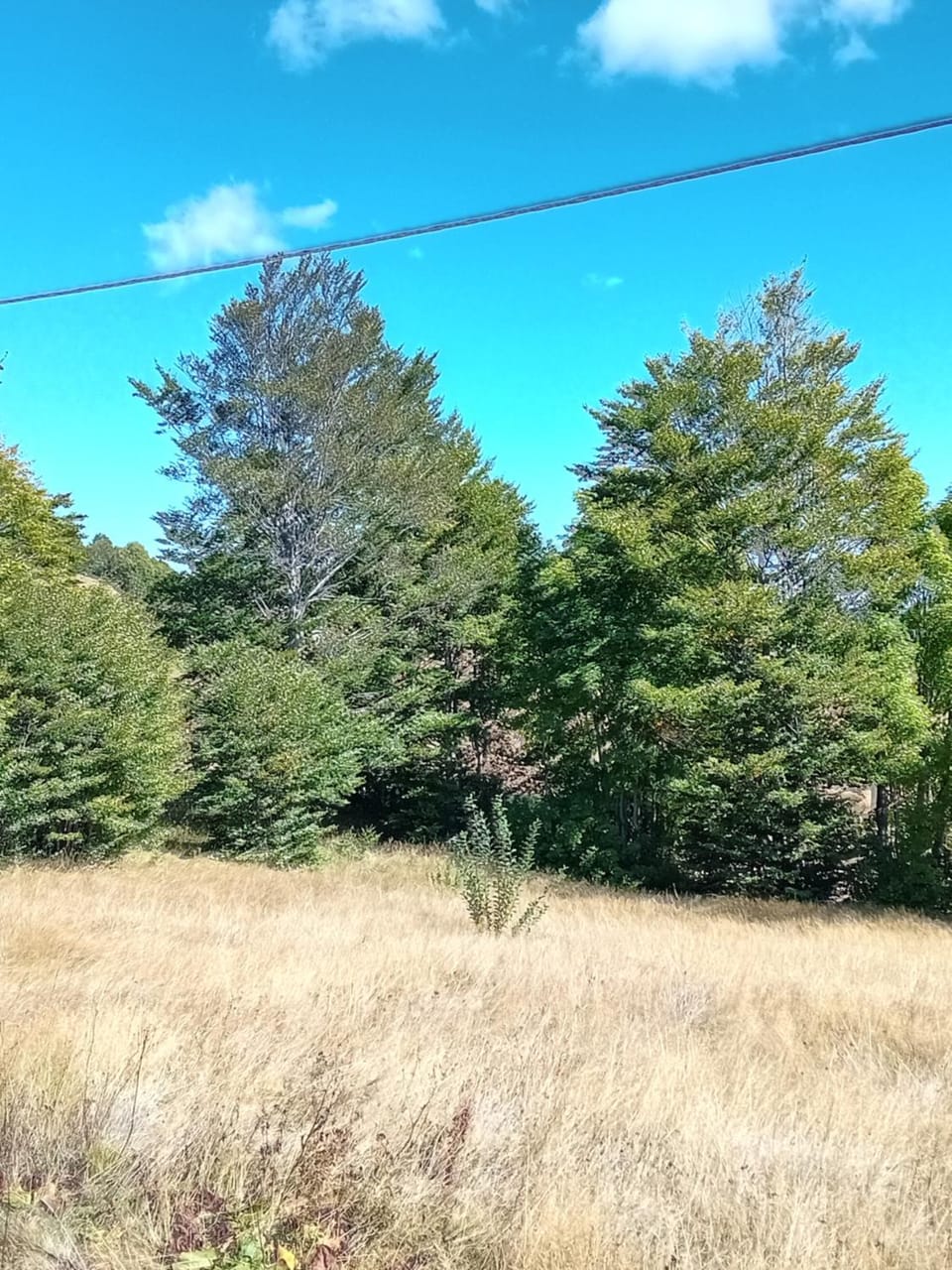 Natural landscape