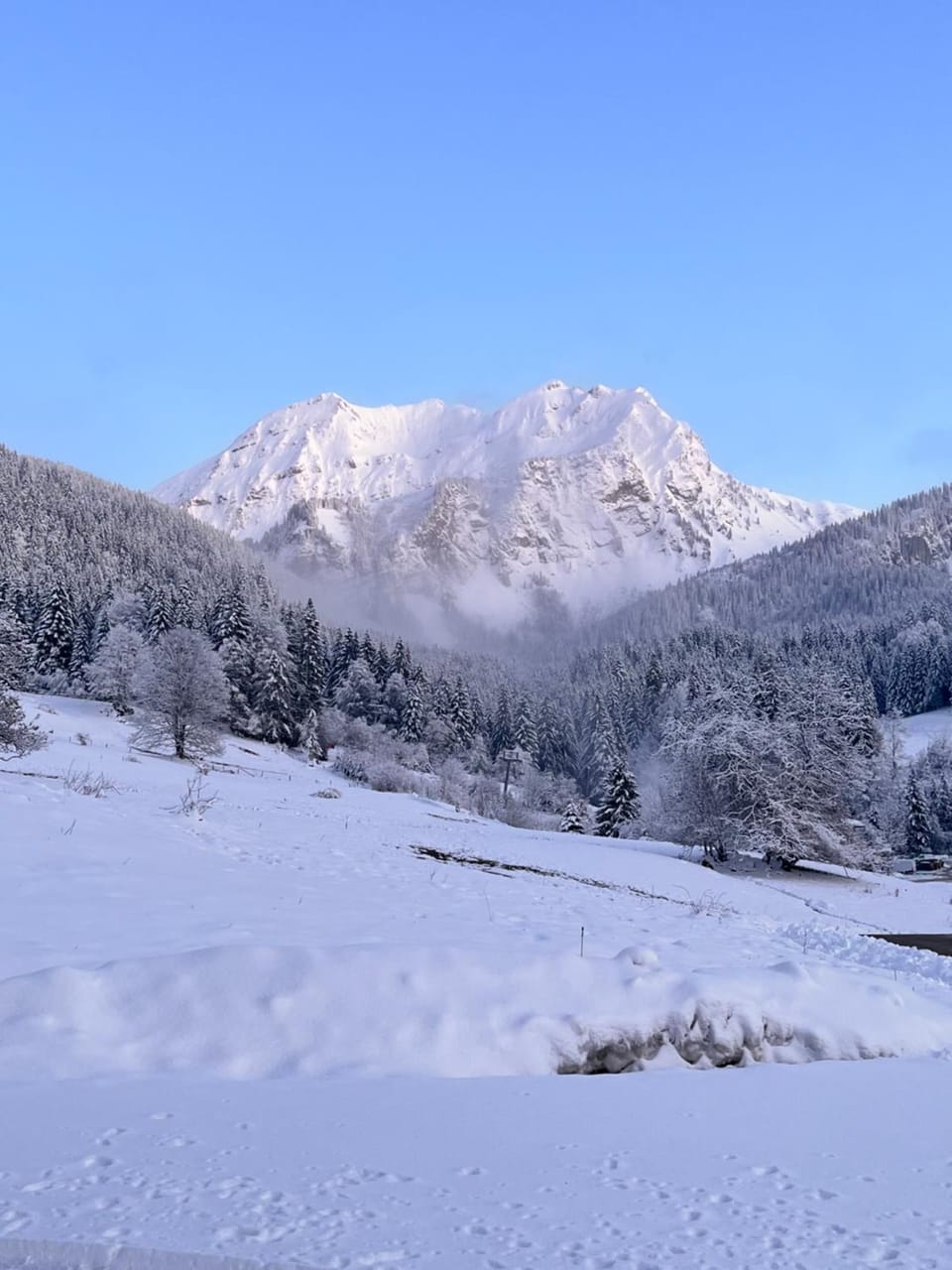 Le Cocon de Bellevaux Appartement familial Apartment in Haute-Savoie