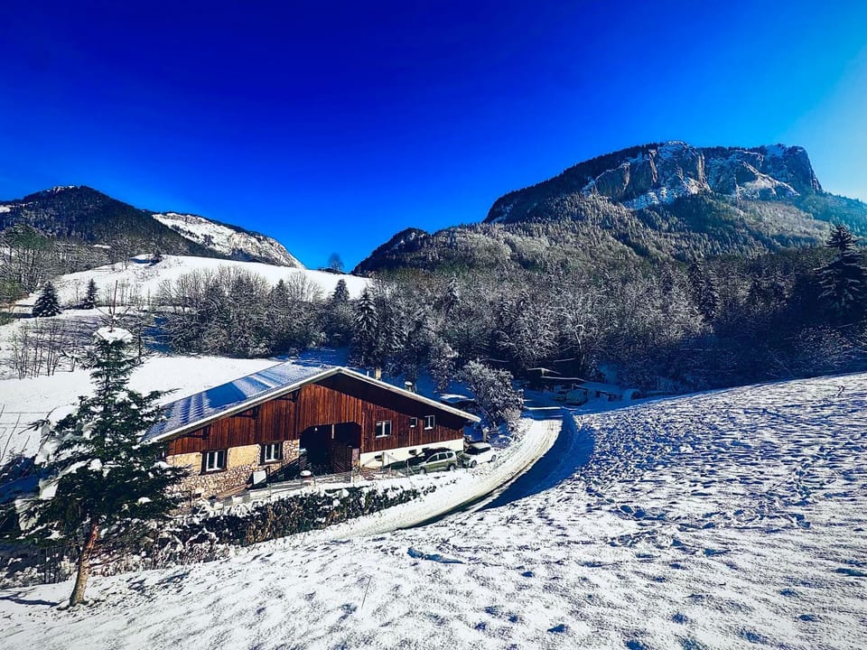 Le Cocon de Bellevaux Appartement familial Apartment in Haute-Savoie