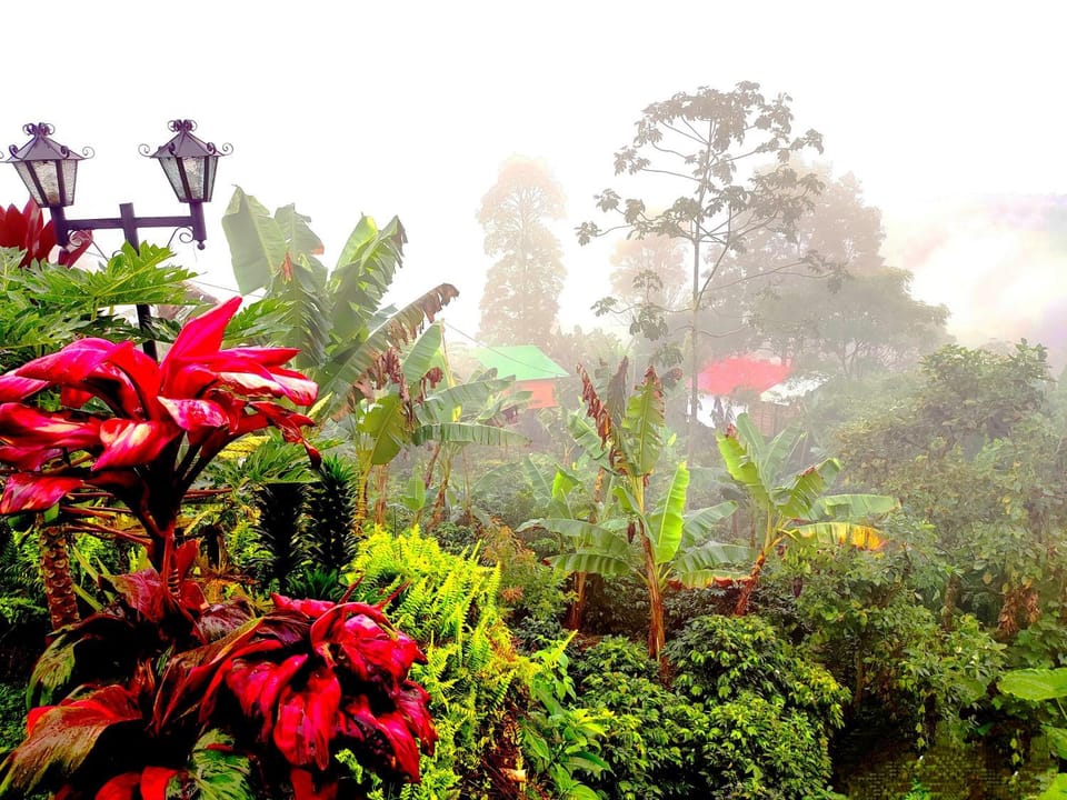 Montelungo Cabañas Glamping Campground/ 
RV Resort in Cundinamarca, Colombia