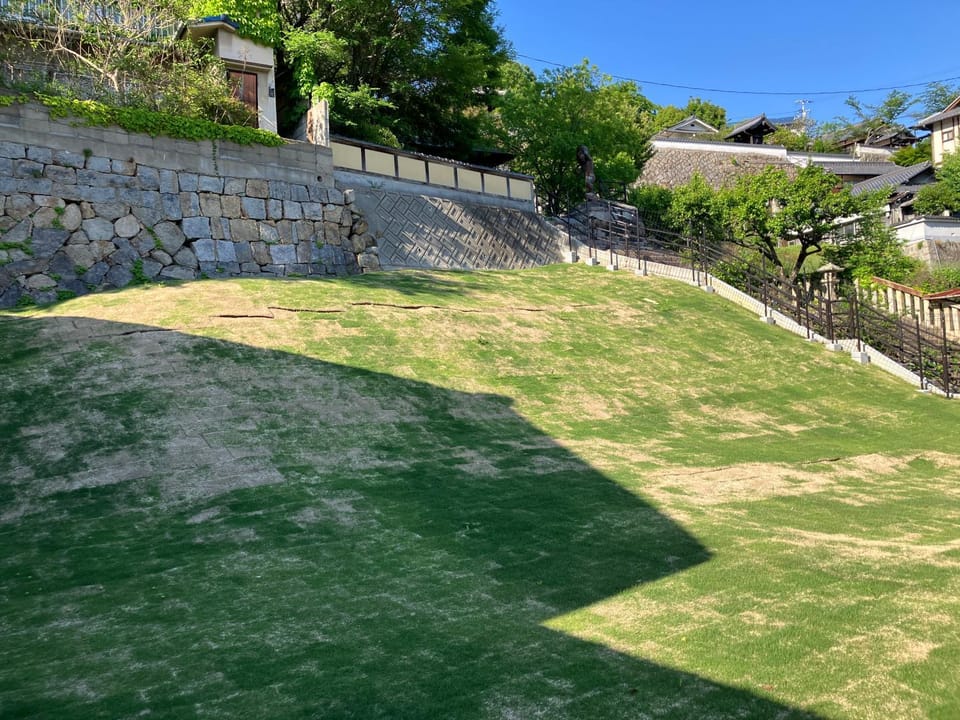 Garden view