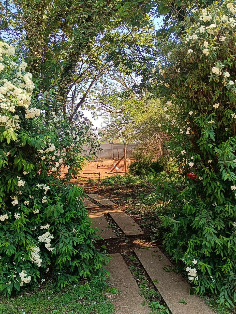 Yellowstone Guest House Bed and Breakfast in Gauteng