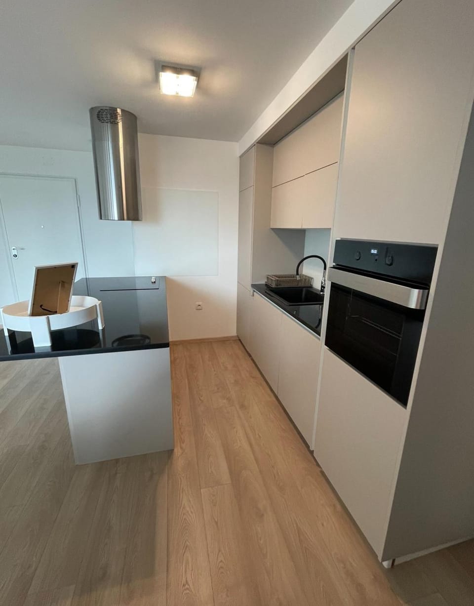 Kitchen or kitchenette, oven, stove