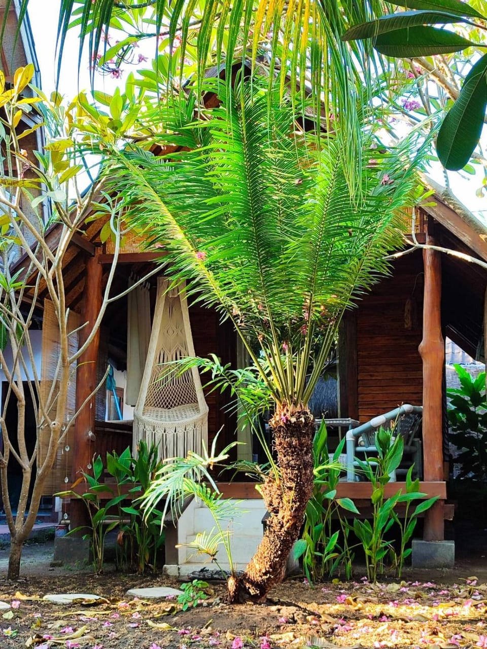 Property building, Day, Garden, Balcony/Terrace, Garden view
