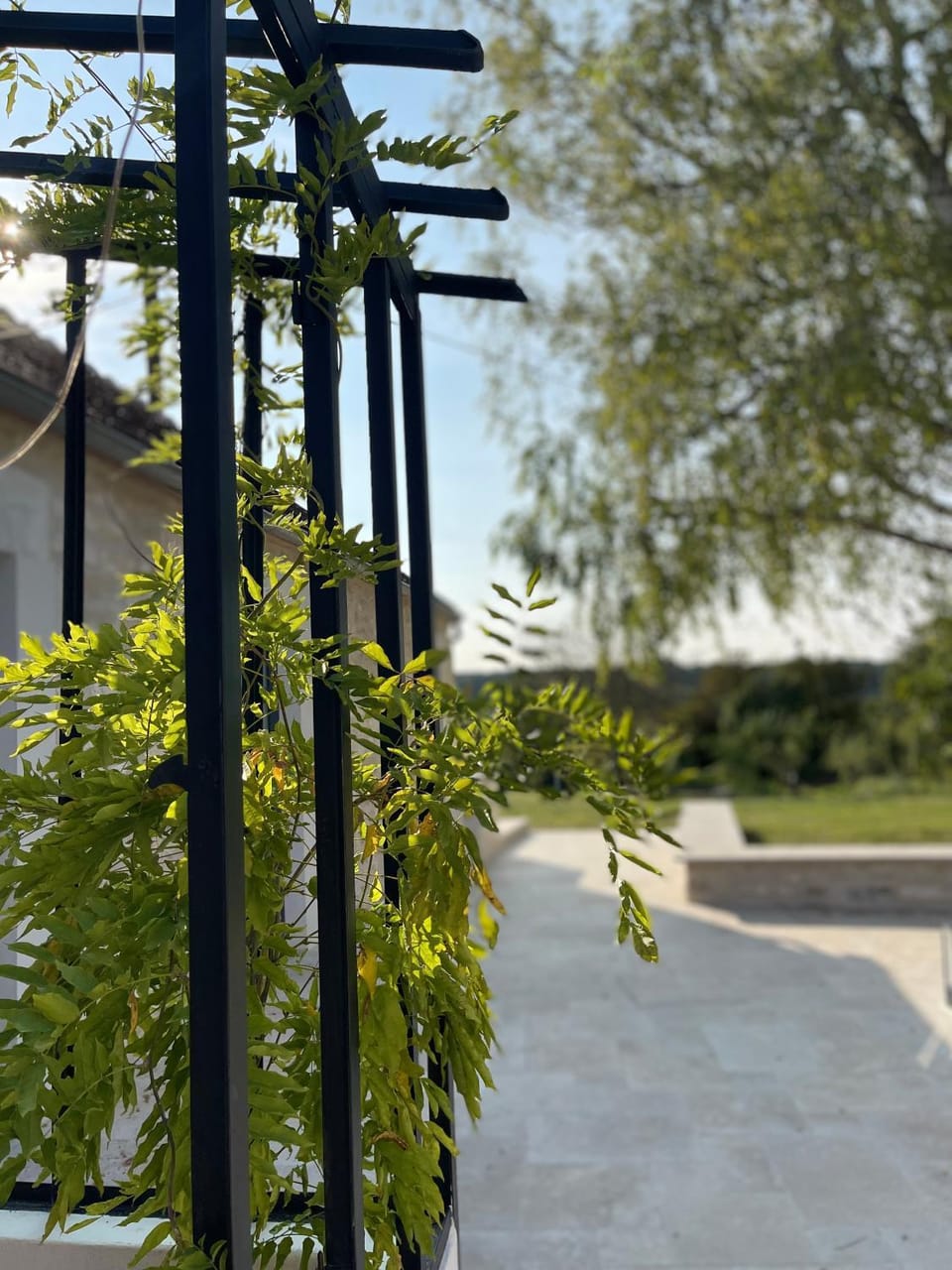 Garden, View (from property/room)