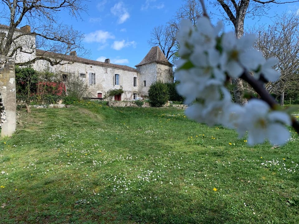 Luxury Gîte - L'Ancien Chai Apartment in Occitanie