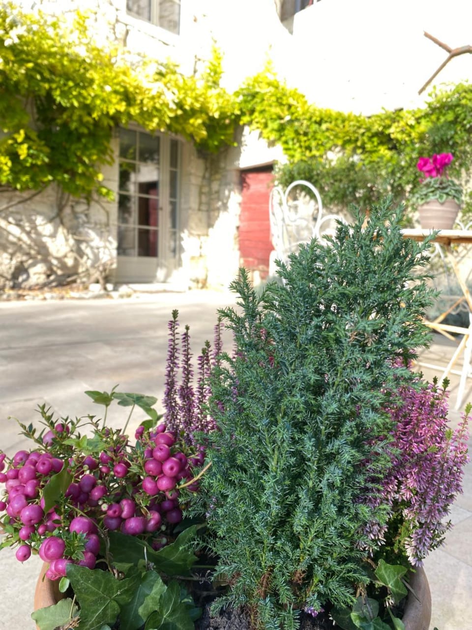 Luxury Gîte - L'Ancien Chai Apartment in Occitanie