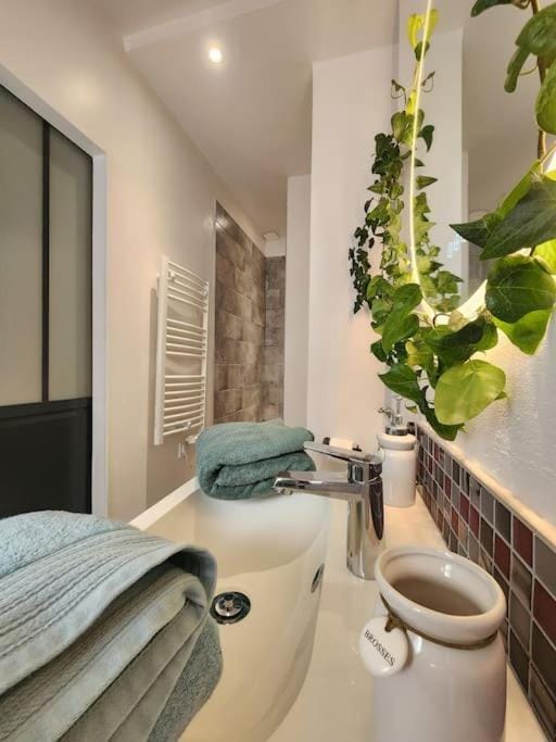 Le Garden Champ'- Duplex, jardin Apartment in Epernay