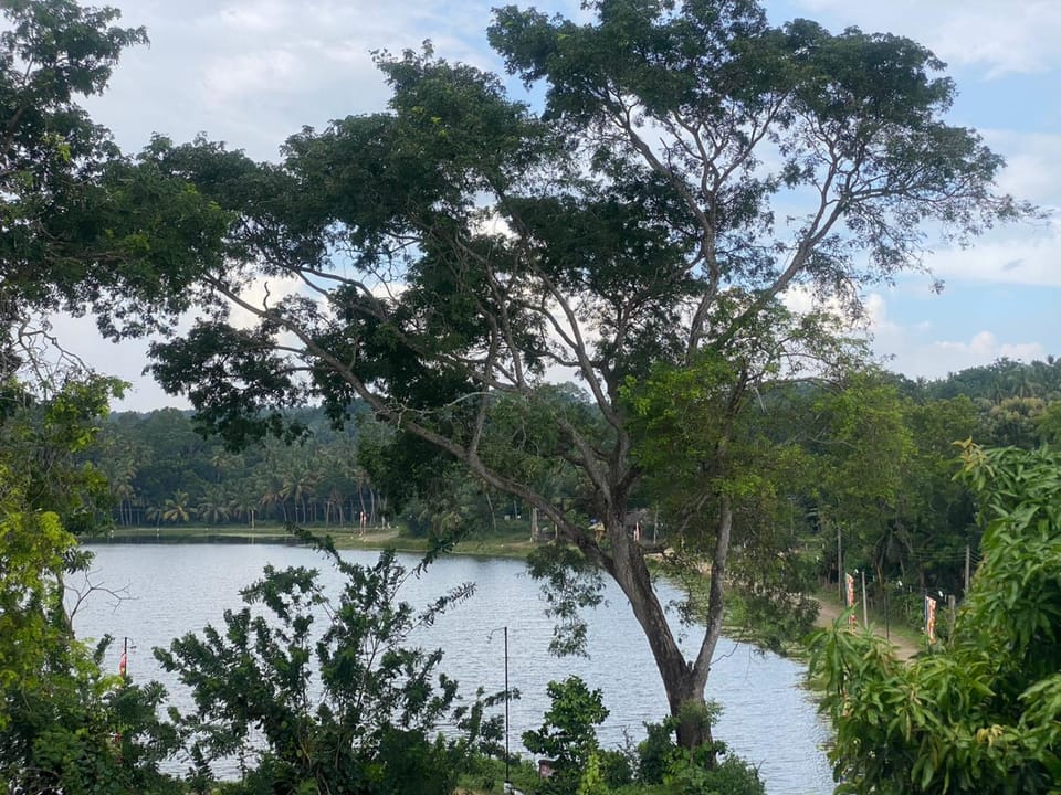 Lake view