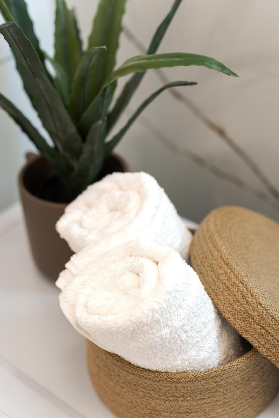 Bathroom, towels