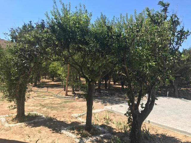 Natural landscape, View (from property/room), Garden view