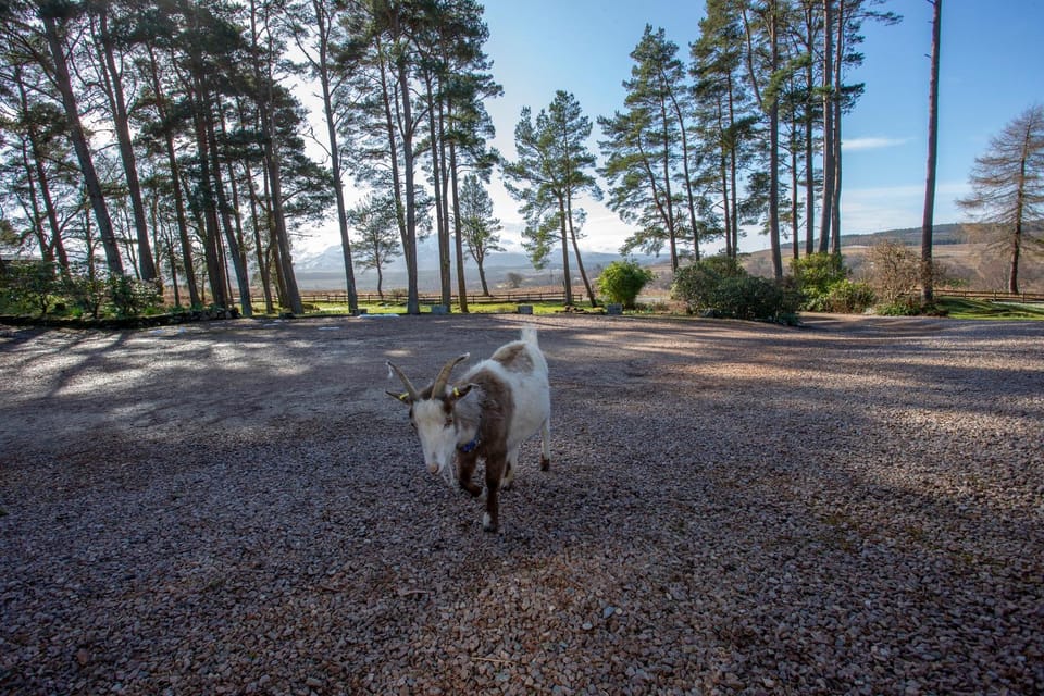 Garden view, Mountain view