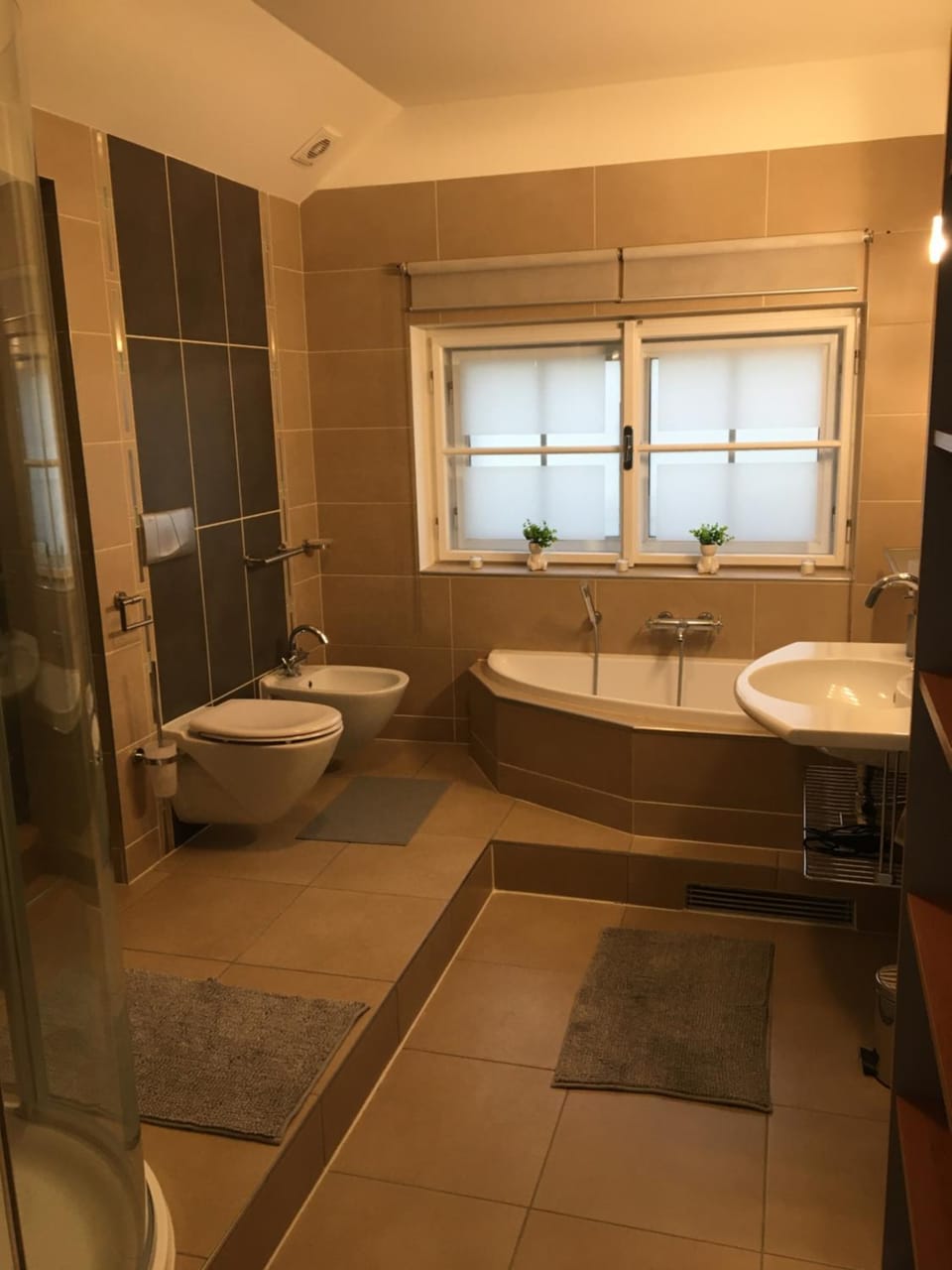 Shower, Toilet, Bathroom, Bath, bidet