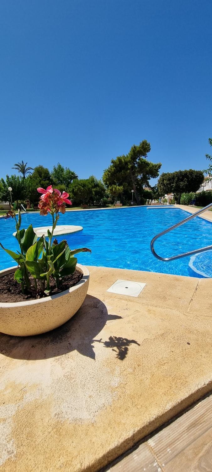 Pool view, Swimming pool