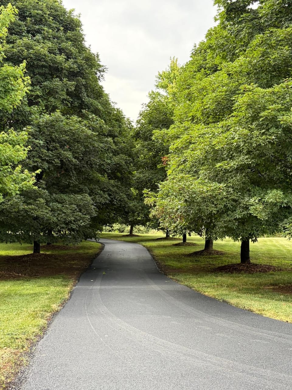 Natural landscape