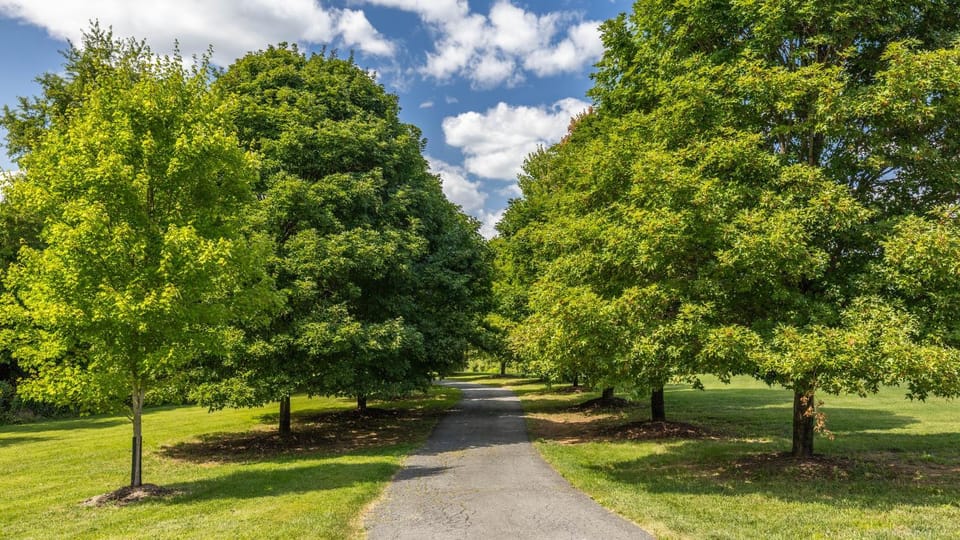 Luxury 15 acre Estate in Historic Purcellville, Virginia Villa in Catoctin