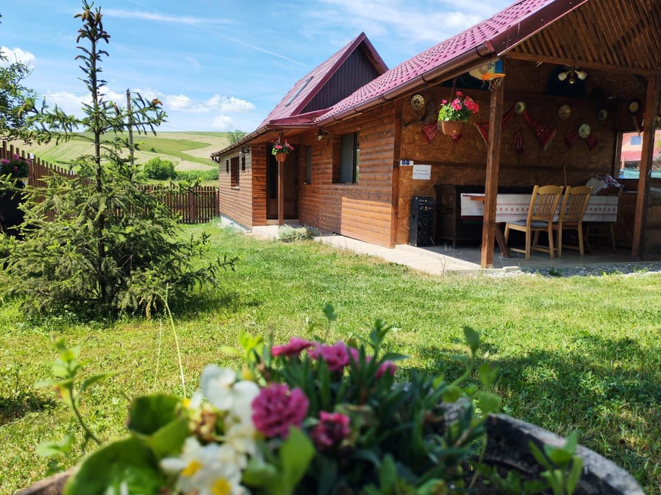 Căsuța Fodora Nature lodge in Cluj County