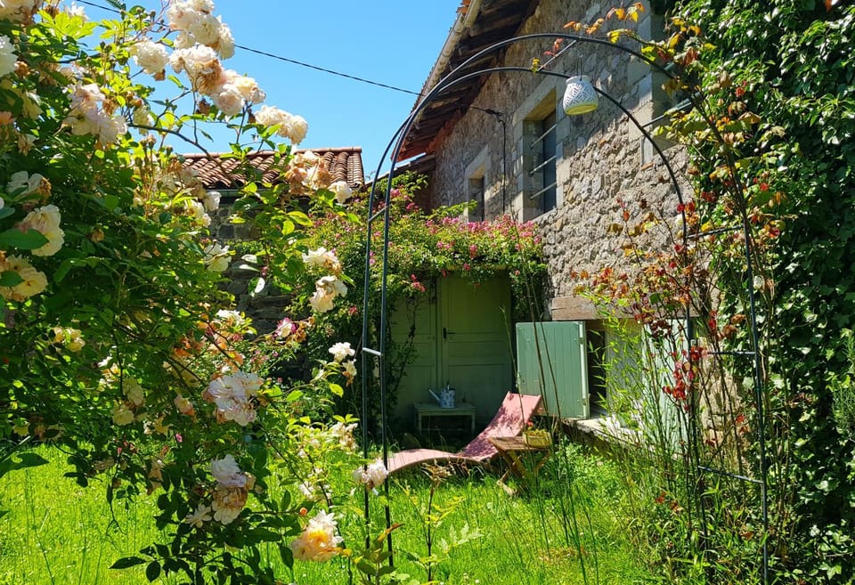 Property building, Garden view