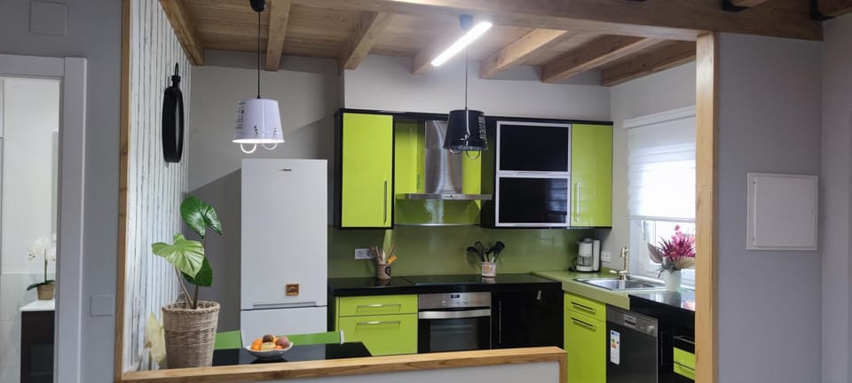 Kitchen or kitchenette, dishwasher, oven, stove