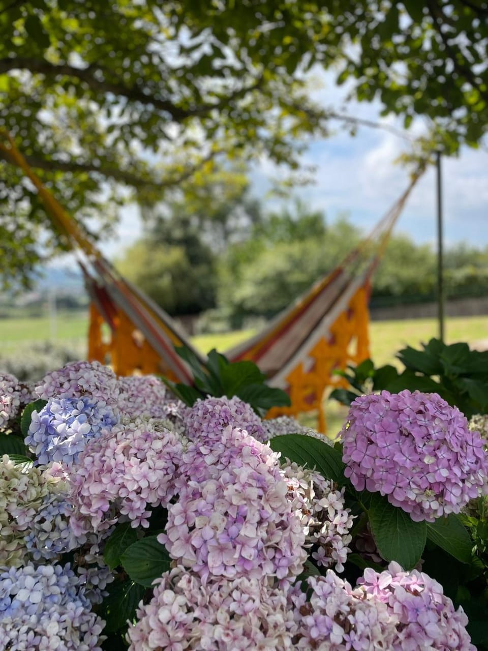 Garden, Garden view
