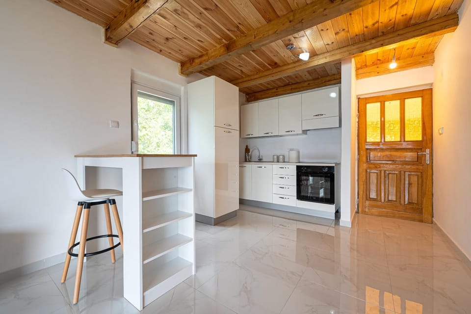 Kitchen or kitchenette, oven, stove