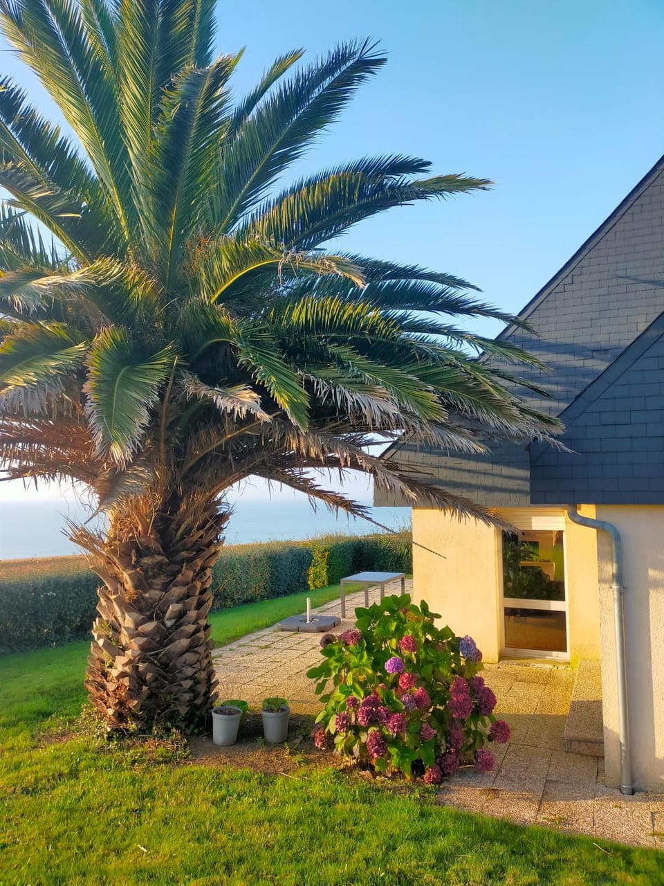 Garden view