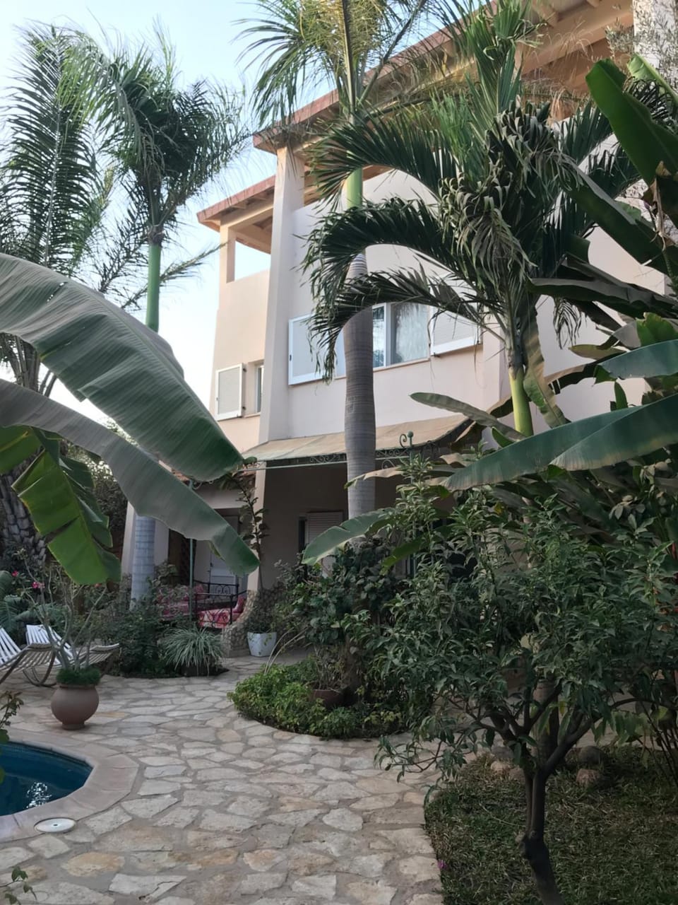 Garden view