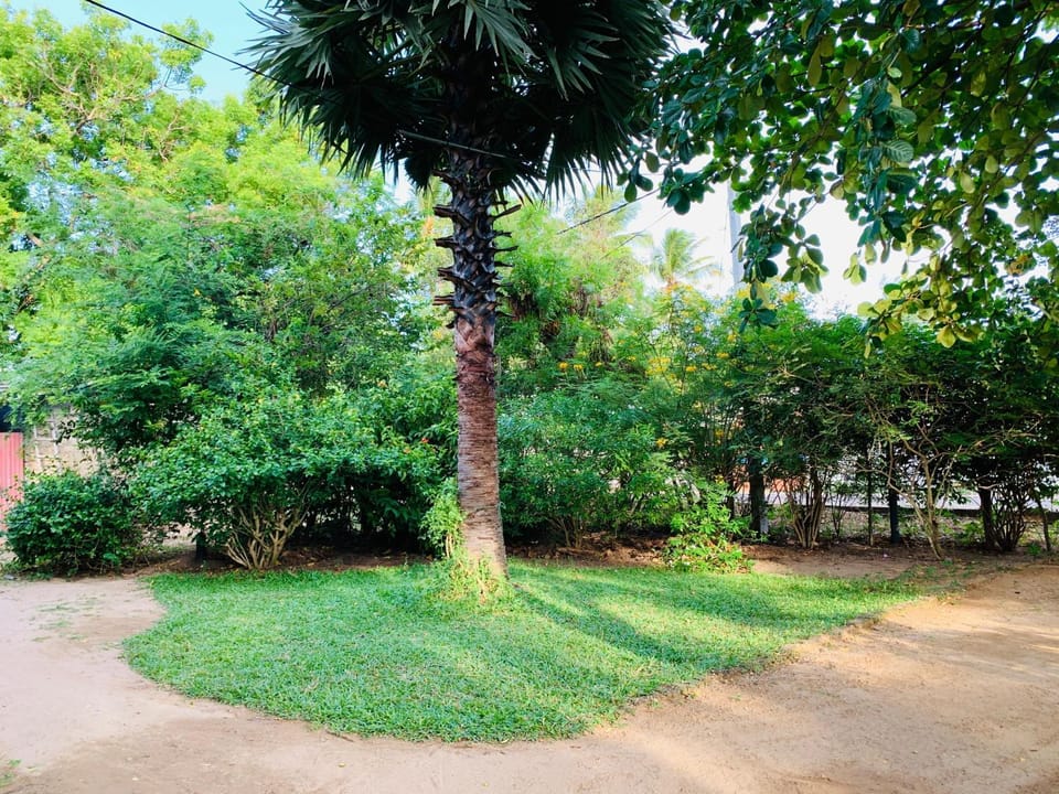Garden, Garden view