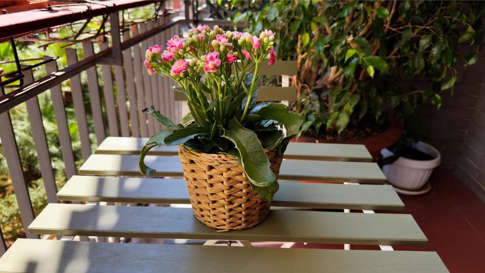 Patio, Balcony/Terrace