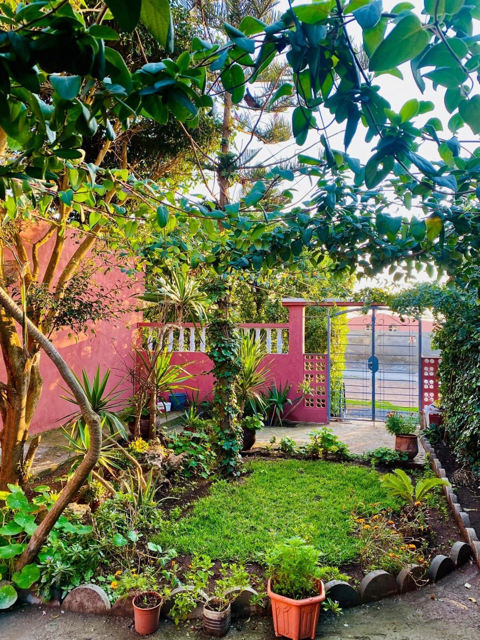 Garden view