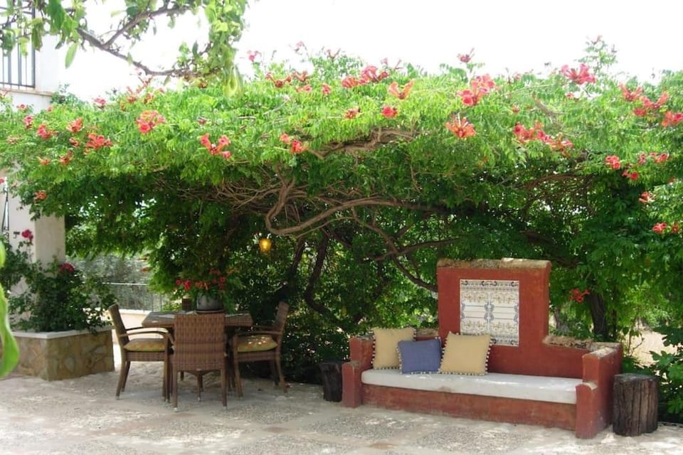 Aire Libre House in Castile-La Mancha