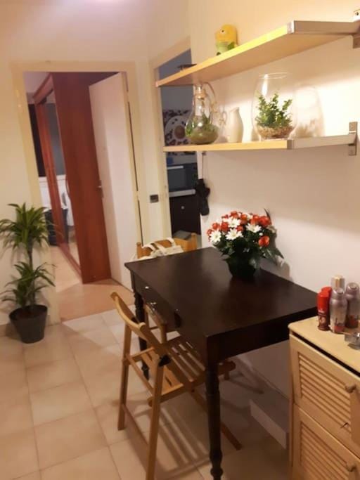 Appartement en Rez de jardin climatisée 2 pièces-cuisine avec terrasse et jardin Apartment in Lyon