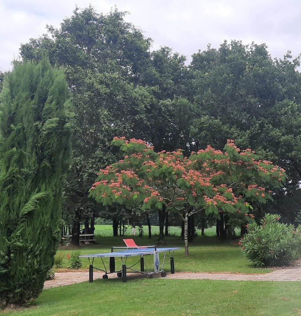 Les chambres du trouilh Bed and Breakfast in Nouvelle-Aquitaine